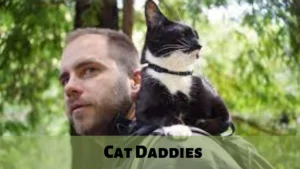 Cat Daddies (2022) 2 Cat Daddies Wallpaper and Images 2022