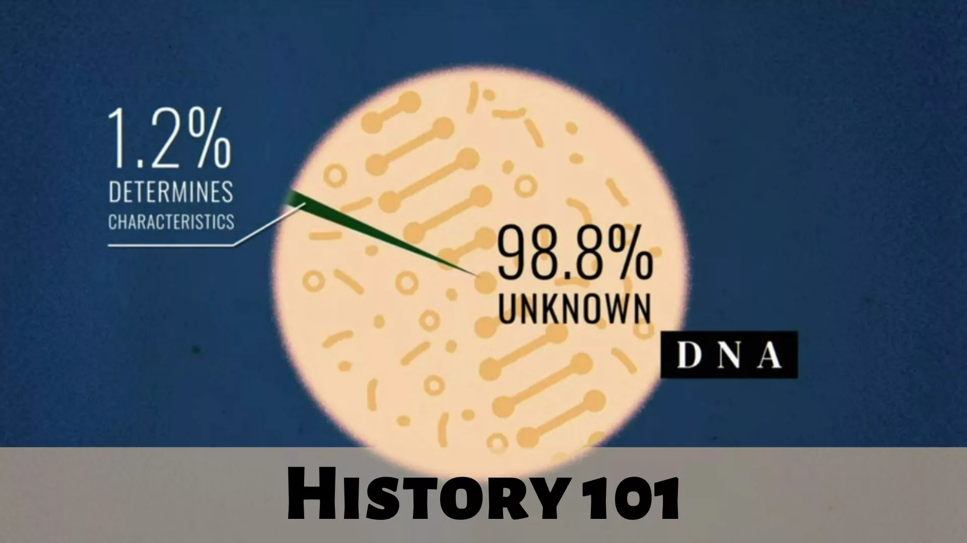 History 101 Parents Guide | Age Rating (2022) History 101 Parents Guide | Age Rating (2022)