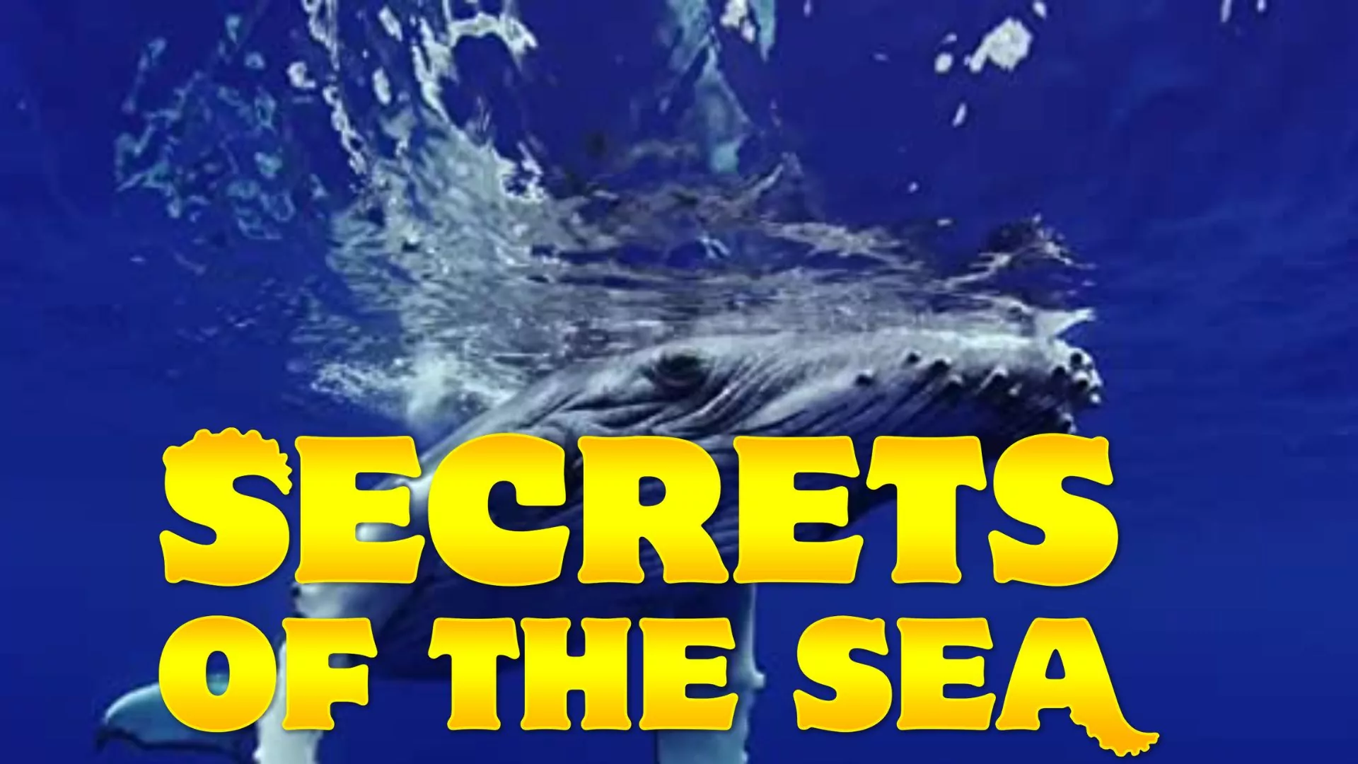 Secrets of the Sea Parents Guide | Age Rating (2022)