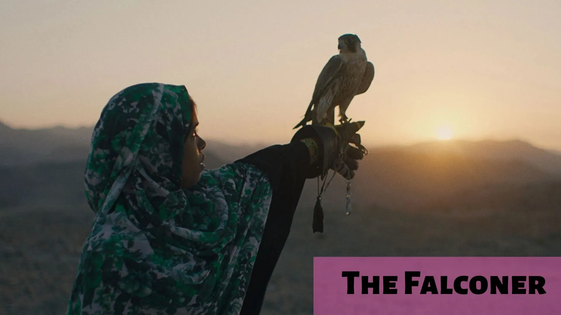 The Falconer Parents Guide | Age Rating (2022)