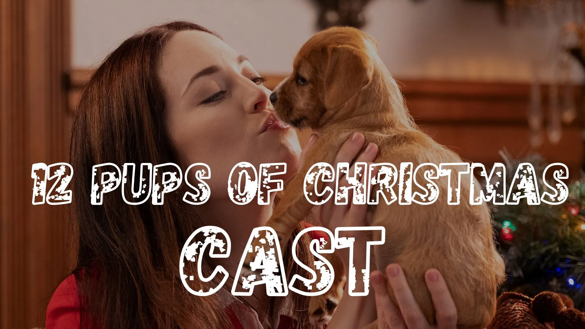 the cast of 12 pups of Christmas