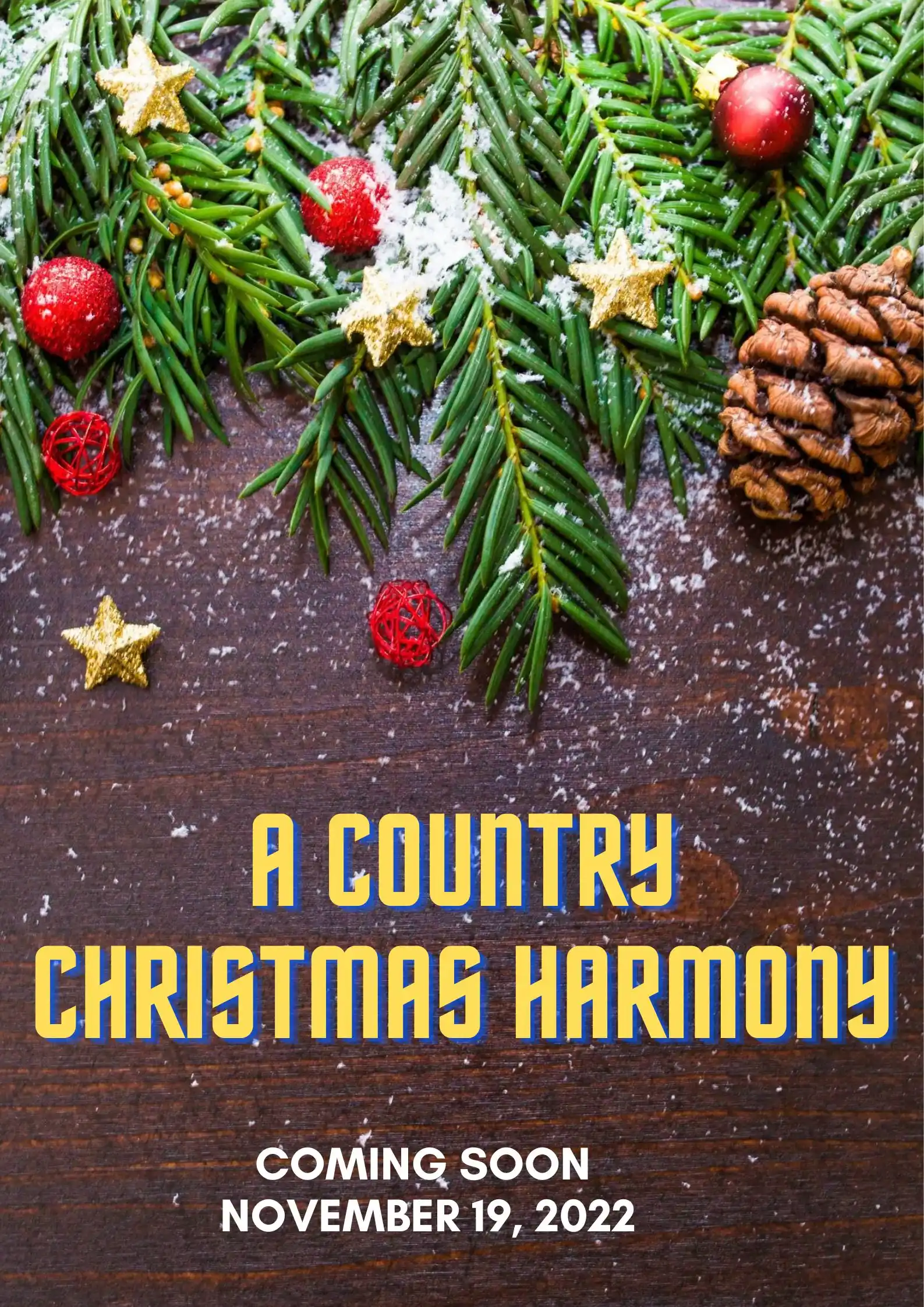 A Country Christmas Harmony Parents Guide (2022)