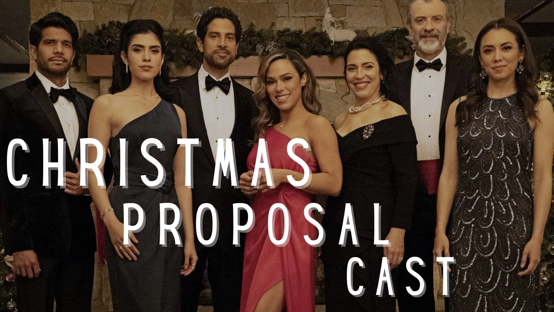 The Cast of Christmas Proposal