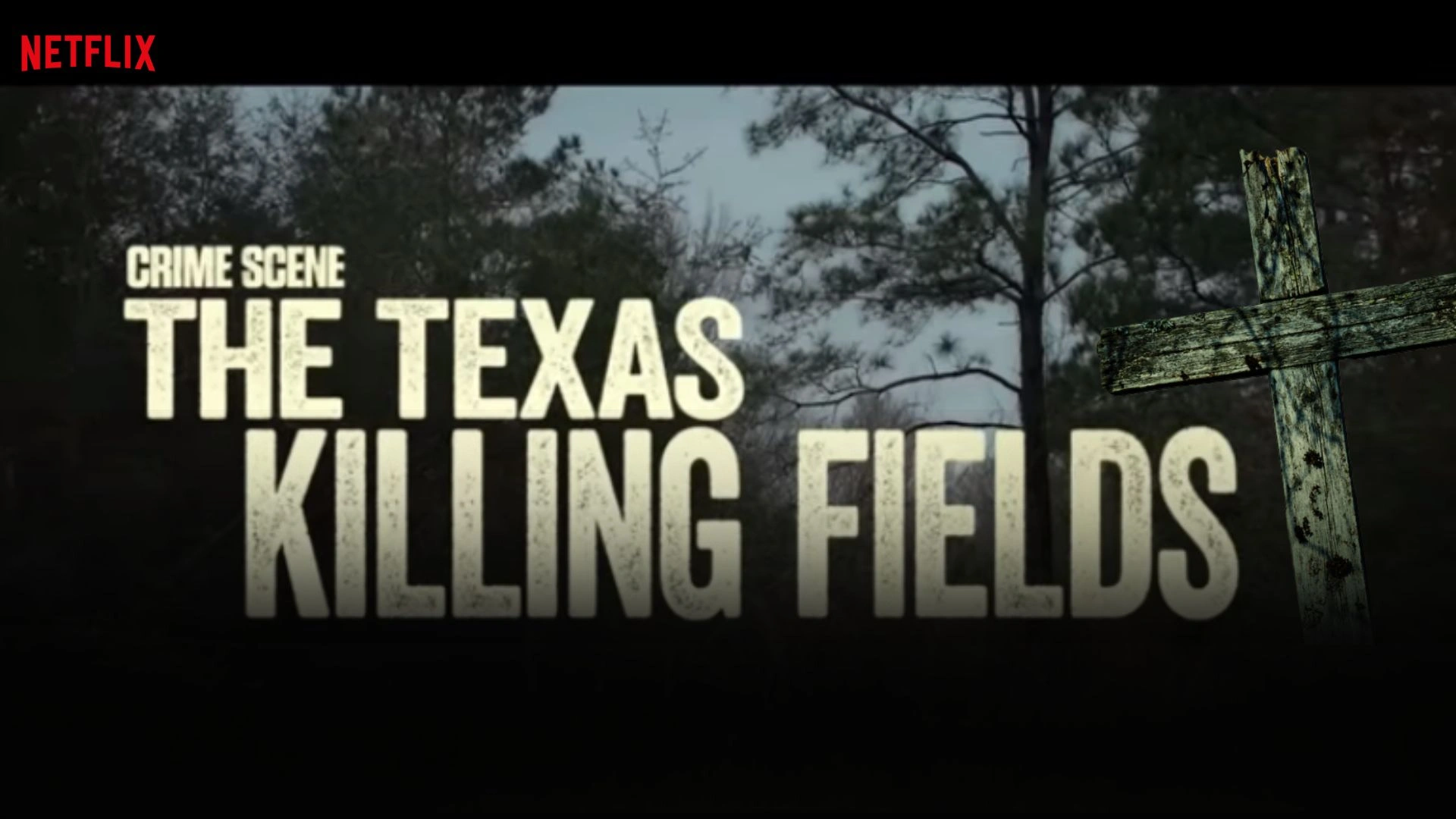 Crime Scene: The Texas Killing Fields Parents Guide (2022)