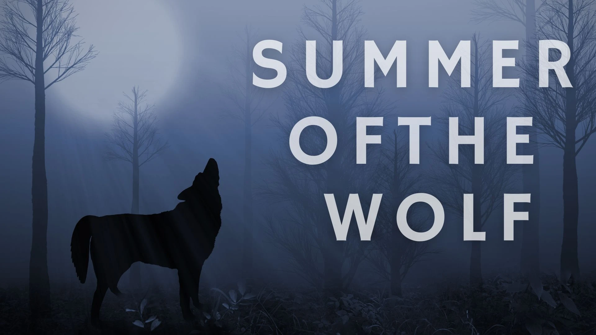 Summer of the Wolf Parents Guide (2) Summer of the Wolf Parents Guide (2)