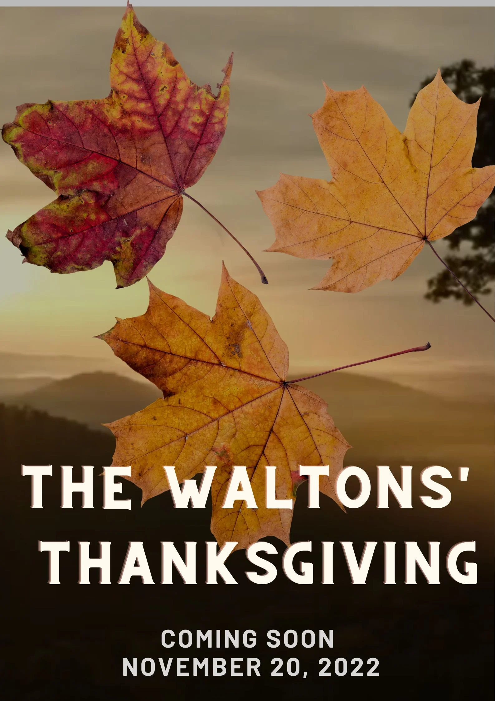 The Waltons' Thanksgiving Parents Guide and Age Rating 2022