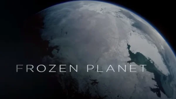 Frozen Planet II (2022-2023) 3 Frozen Planet II Wallpaper and Images 2