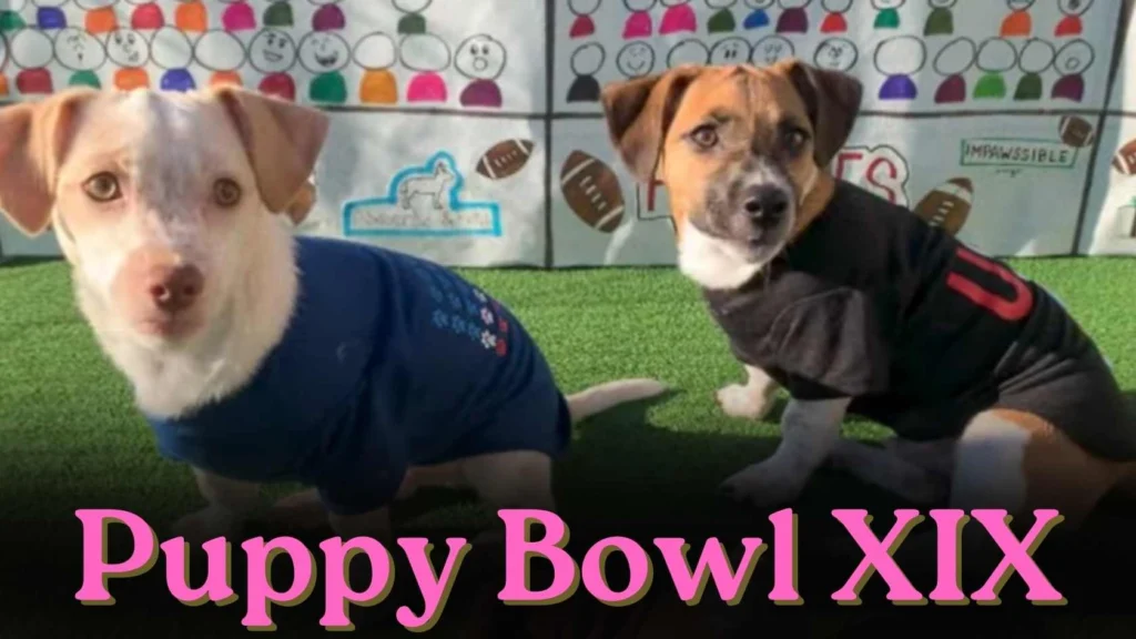 Puppy Bowl XIX (2023) 3 Puppy Bowl XIX Parents Guide and Age Rating (2023)