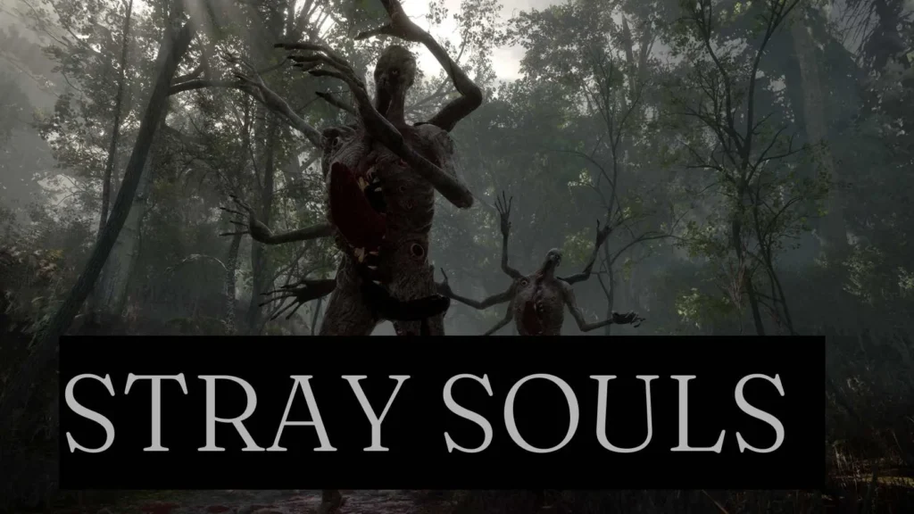 Stray Souls Parents Guide