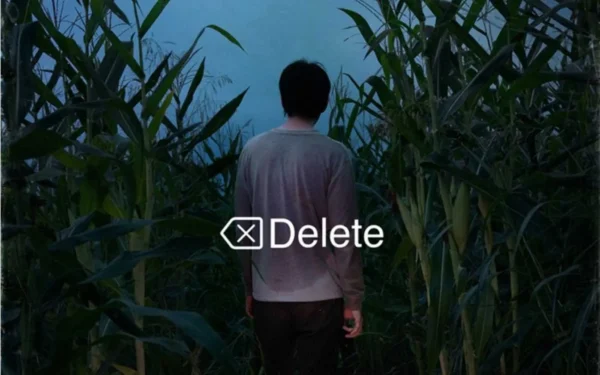 Delete Wallpaper and Images