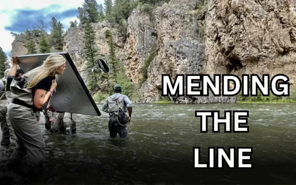 MENDING THE LINE Wallpaper and Images