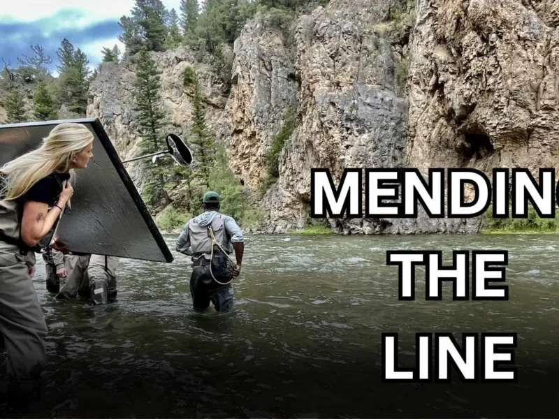 Mending the Line Parents Guide