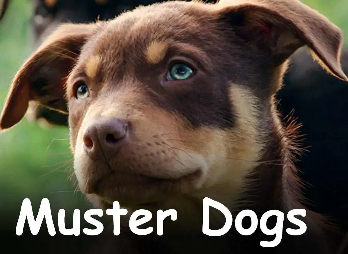 Muster Dogs Parents Guide