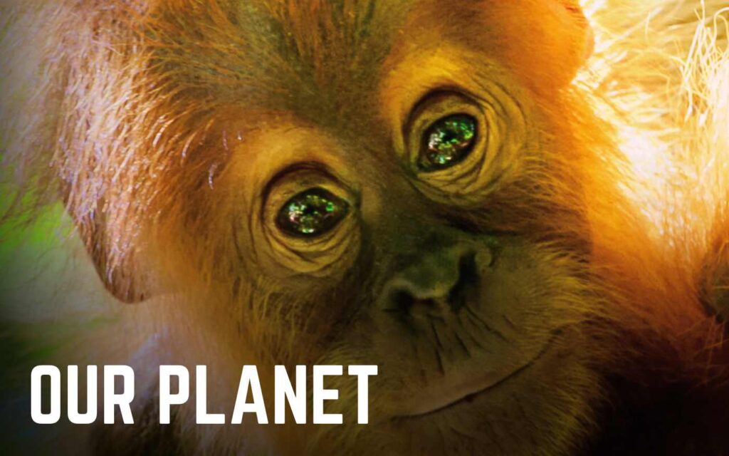 Our Planet II Parents Guide