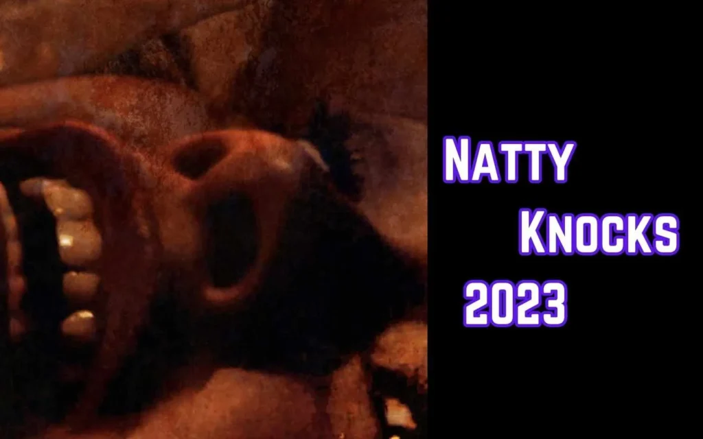 Natty Knocks (2023) 3 Natty Knocks Parents Guide