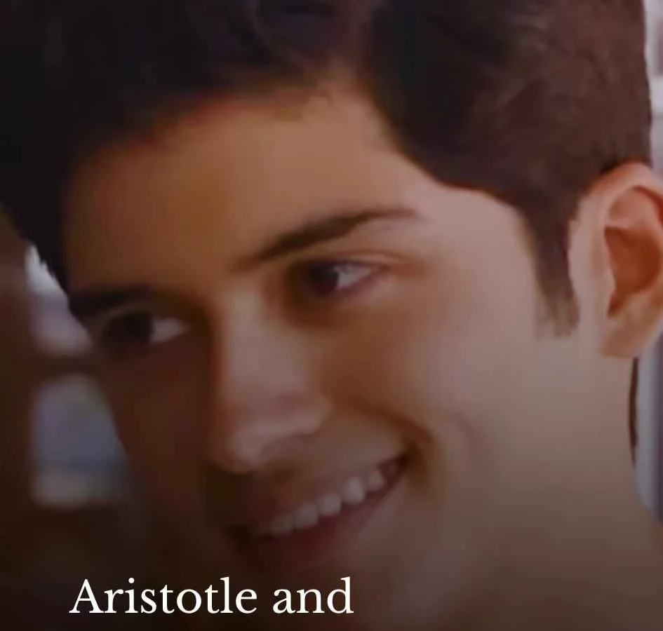 Aristotle and Dante Discover the Secrets of the Universe Parents Guide
