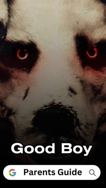 Good Boy (2022) 3 Good Boy Wallpaper and Images