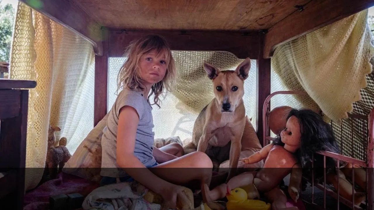 Don't Let's Go to the Dogs Tonight Guide and Age Rating