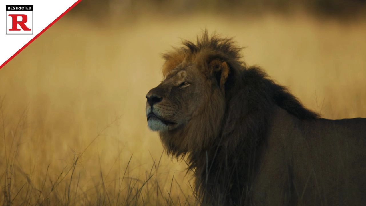 Cecil Parents Guide and Age Rating (2025 Documentary)